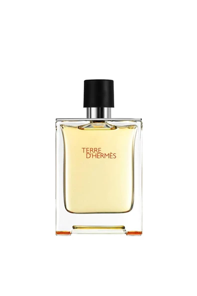 Hermes Terre D'Hermes 100 ml Edt Erkek Parfüm ürün görseli 1