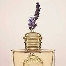 Burberry Goddess Edp 50 ml - Resim 4