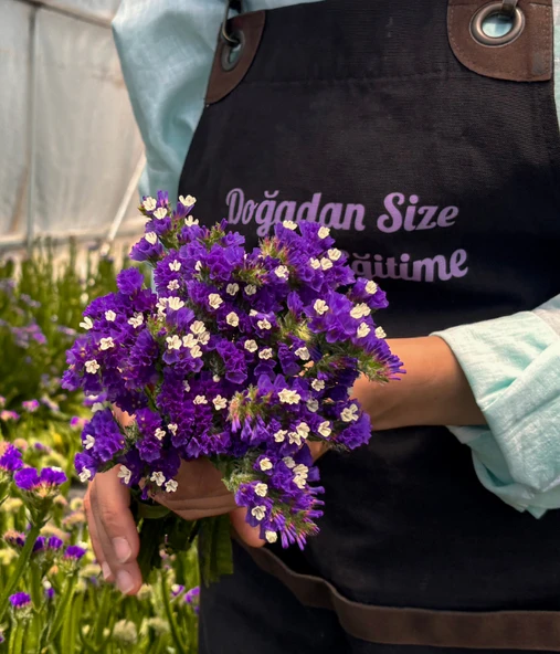 Deniz Lavantası-Limonium siniuatum-1 Demet ürün görseli 1