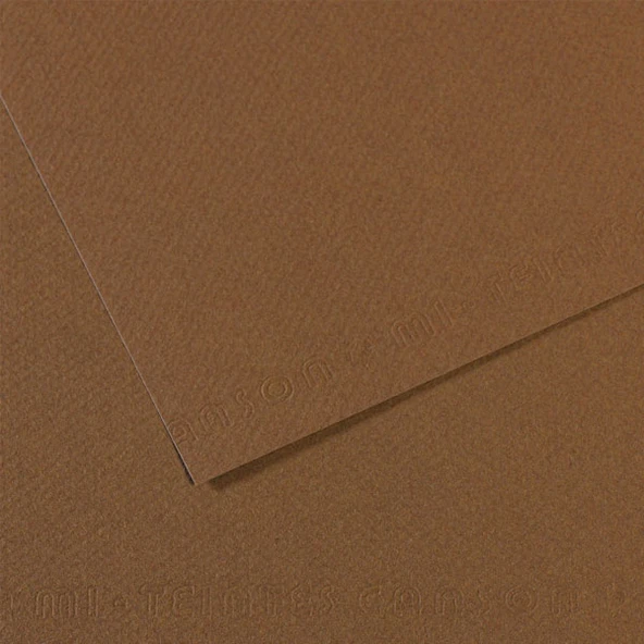 Canson Fon Kartonu (Dokulu) Mı-Teıntes 25 Lİ 50x65 160 GR 133 Sepia 200321404-25-LI-PKT ürün görseli 1