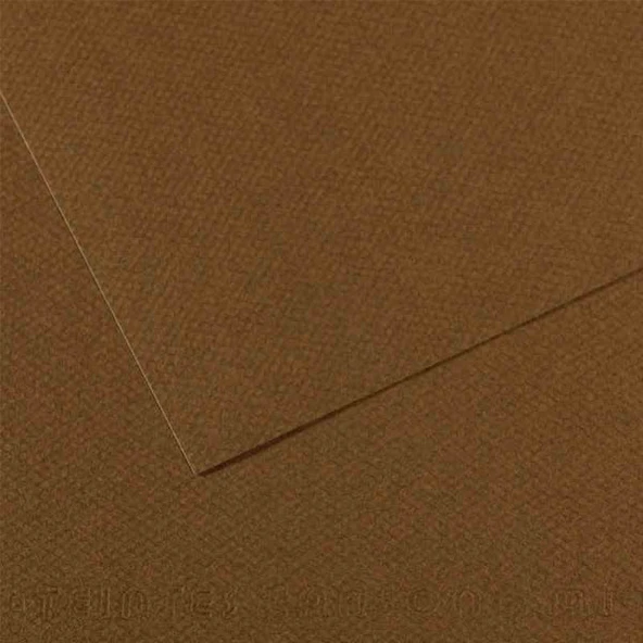Canson Fon Kartonu (Dokulu) Mı-Teıntes 25 Lİ 50x65 160 GR 501 Dark Brown 200331484-25-LI-PKT ürün görseli 1
