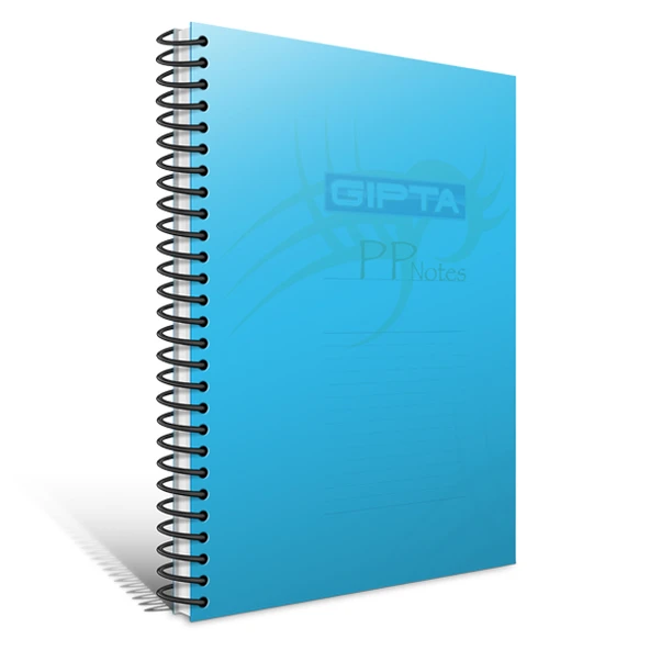 Gıpta Spiralli Defter Eko Plastik Kapak Çizgili 100 YP A4 3-2032000-2012--12 li ürün görseli 1