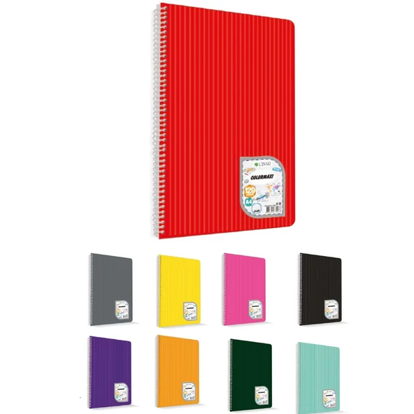 Çınar Colormaxi Spiralli Defter (12 adet fiyatıdır)Plastik Kapak A4 40 YP Kareli 40/4 ürün görseli 1