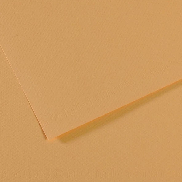 Canson Fon Kartonu (Dokulu) Mı-Teıntes 50x65 160 GR Kahverenk 340-10-LI-PKT ürün görseli 1
