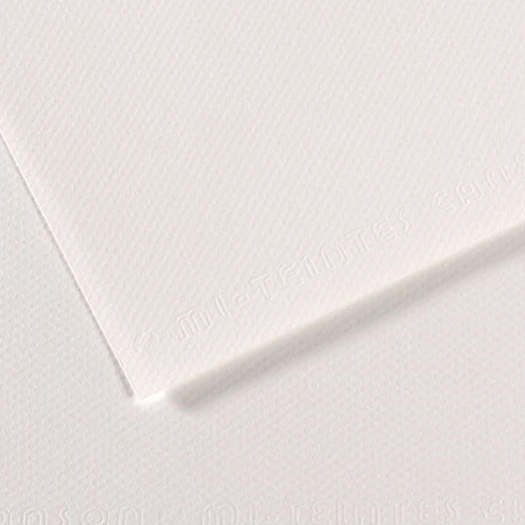 Canson Fon Kartonu (Dokulu) Mı-Teıntes 50x65 160 GR Whıt 335-10-LI-PKT ürün görseli 1