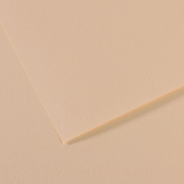 Canson Fon Kartonu (Dokulu) Mı-Teıntes 10 Lu  50x65 160 GR 112 Ylw 31032S093-10-LI-PKT ürün görseli 1