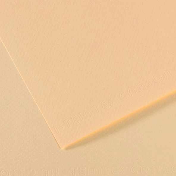 Canson Fon Kartonu (Dokulu) Mı-Teıntes 25 Lİ 50x65 160 GR 11 Ylw 31032S092-10-LI-PKT ürün görseli 1