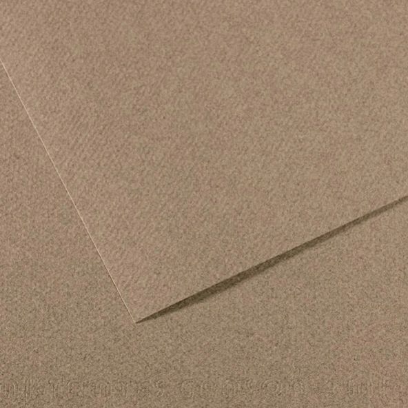 Canson Fon Kartonu (Dokulu) Mı-Teıntes 50x65 160 GR Grey 431-10-LI-PKT ürün görseli 1