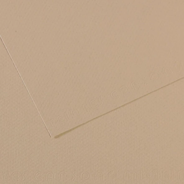 Canson Fon Kartonu (Dokulu) Mı-Teıntes 50x65 160 GR GREY 343-10-LI-PKT ürün görseli 1