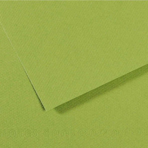 Canson Fon Kartonu (Dokulu) Mı-Teıntes Sh Canmt 50x65 160 Gr Grn 475-10-LI-PKT ürün görseli 1