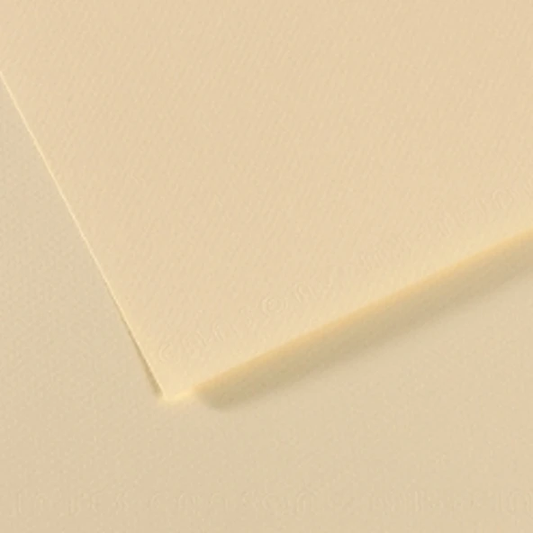 Canson Fon Karton (Dokulu) Mı-Teıntes Sh Canmt 50x65 160 GR Ylw 101 ürün görseli 1