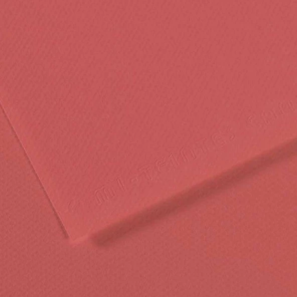 Canson Fon Kartonu (Dokulu) Mı-Teıntes Sh Canmt 50x65 160 GR Pembe (10 lu) 189 ürün görseli 1