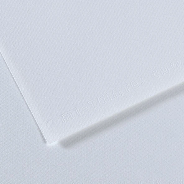 Canson Fon Kartonu (Dokulu) Mı-Teıntes Sh Canmt 50x65 160 GR Blu  (10 lu)181 ürün görseli 1