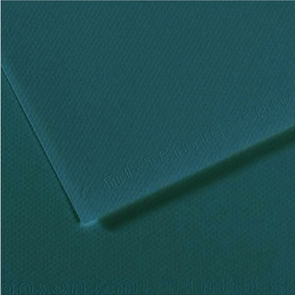 Canson Fon Kartonu (Dokulu) Mı-Teıntes Sh Canmt 50x65 160 GR Blu (10 lu)  183 ürün görseli 1