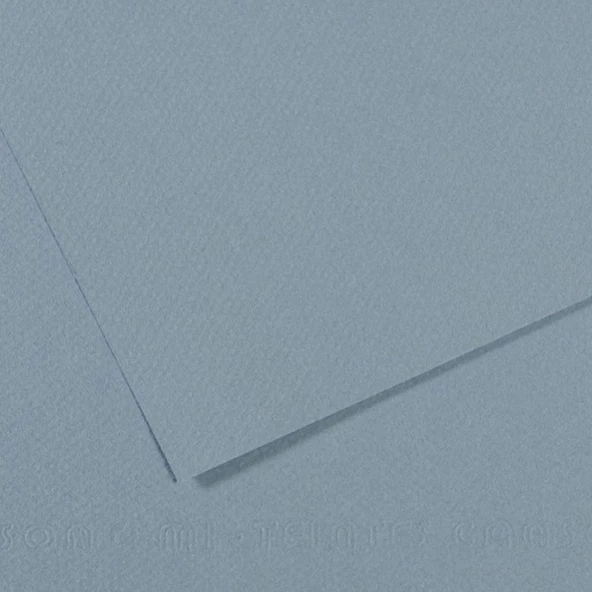 Canson Fon Kartonu (Dokulu) Mı-Teıntes Sh Canmt 50x65 160 GR Blu  (10 lu) 490 ürün görseli 1