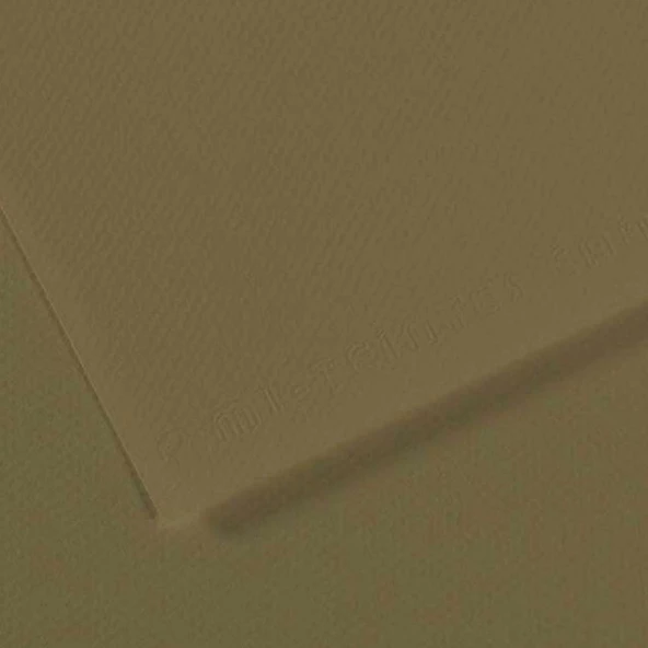 Canson Fon Kartonu (Dokulu) Mı-Teıntes Sh Canmt 50x65 160 GR Grn (10 lu) 191 ürün görseli 1