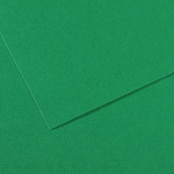 Canson Fon Kartonu (Dokulu) Mı-Teıntes Sh Canmt 50x65 160 GR Grn 575 31032S114-10-PKT ürün görseli 1