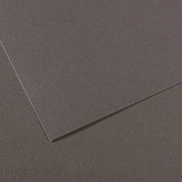 Canson Fon Kartonu (Dokulu) Mı-Teıntes Sh Canmt 50x65 160 GR Grey 345 ürün görseli 1