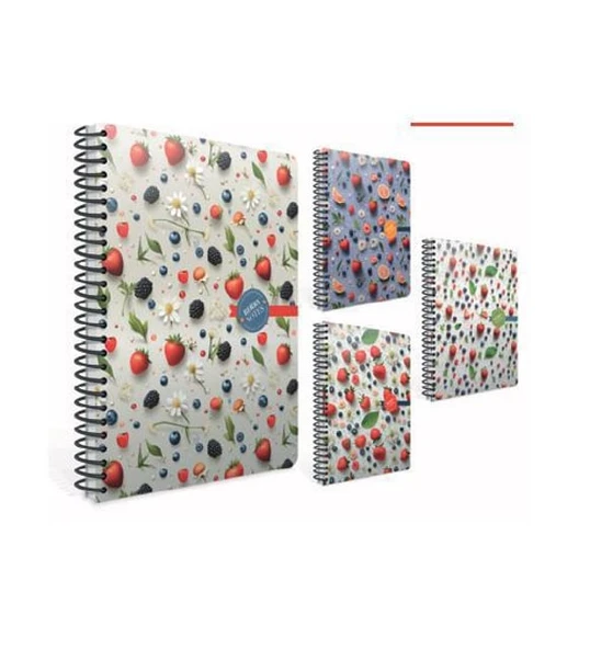 Gıpta berry notes spiralli sert kap def 17x24 120 Çizg.-36-STD ürün görseli 1