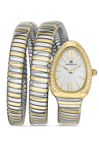 MOMENTUS Ss256t-02sg ürün görseli 1