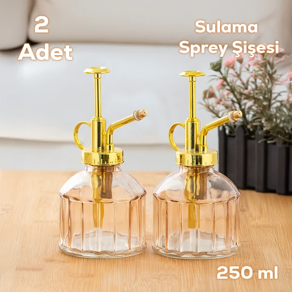Perotti 15733 2'li Pembe Vintage Cam Bitki Sulama Şişesi Oda Kokusu Dağıtıcı Cam Dağıtıcı Sprey 250ml ürün görseli 1