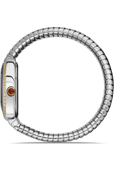 MOMENTUS Ss256t-02sg - Resim 2