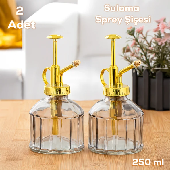 Perotti 15733 2'li Gri Vintage Cam Bitki Sulama Şişesi Oda Kokusu Dağıtıcı Cam Dağıtıcı Sprey 250ml ürün görseli 1