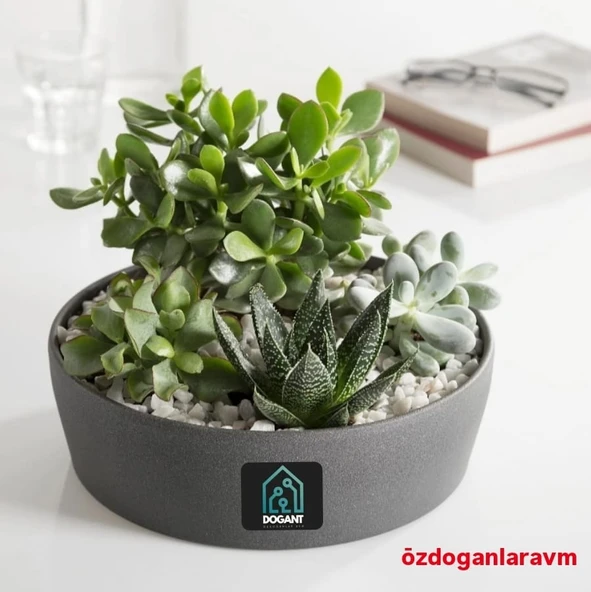 Beyaz  Taş 2 Kg - Resim 2