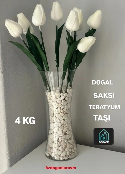 Beyaz Teraryum Saksı Taşı 2 Kg ürün görseli 1