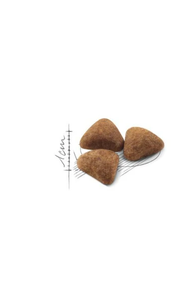 Royal Canin Indoor 27 Kuru Kedi Maması 2 kg ürün görseli 1