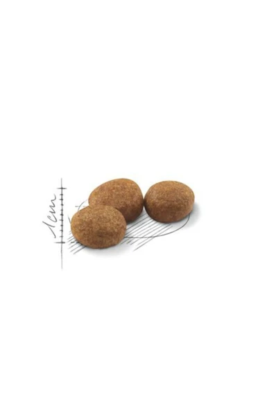 Royal CaninSterilised 37 Kısırlaştırılmış Kedi Maması 15 Kg. ürün görseli 1
