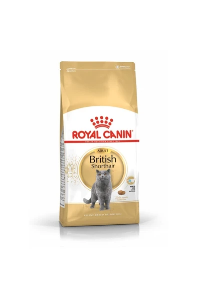 Royal Canin British Shorthair Yetişkin Kedi Maması 10 kg ürün görseli 1