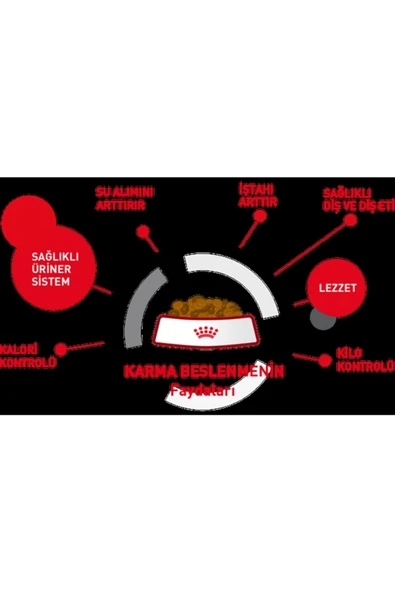 Royal Canın Mother And Babycat Yavru Kedi Maması 2 Kg ürün görseli 1