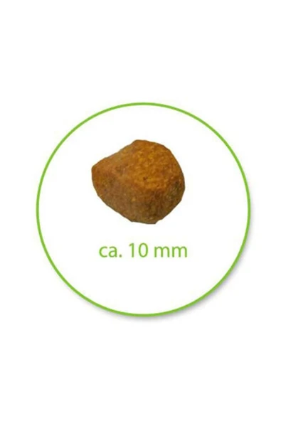 Royal Canin Oral Care Kedi Maması 1,5 Kg ürün görseli 1