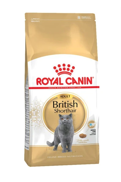 Royal Canin British Shorthair Yetişkin Kedi Maması 10 kg ürün görseli 1