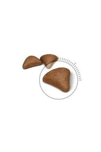 Royal Canin Hairball Care Yetişkin Kedi Maması 2 Kg ürün görseli 1