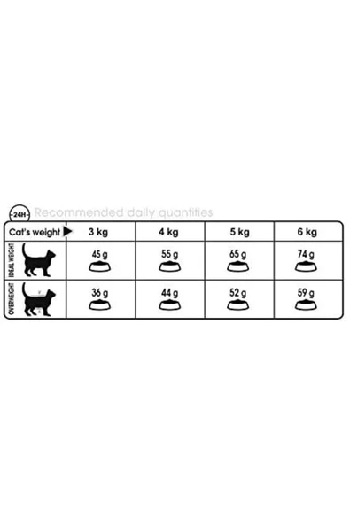 Royal Canin Hairball Care Yetişkin Kedi Maması 2 Kg ürün görseli 1
