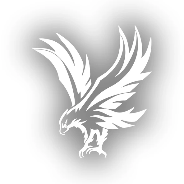 Kartal Araba Sticker 17x17 Cm Beyaz ürün görseli 1