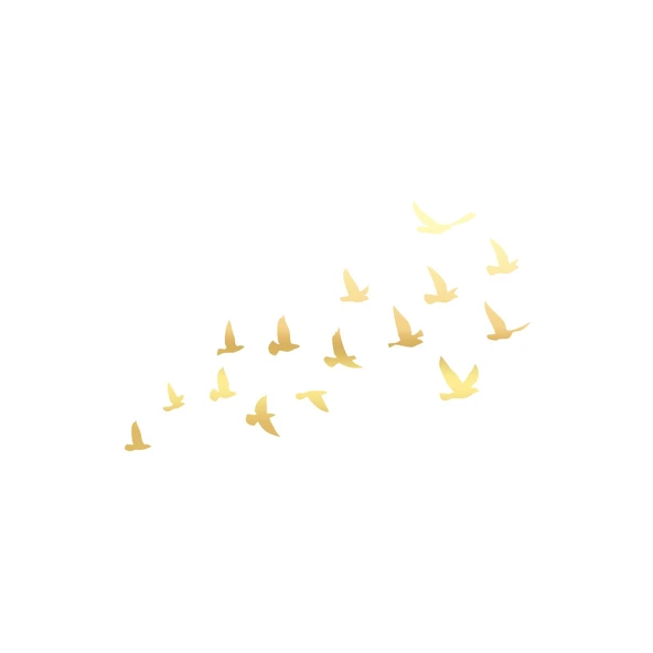 Kuşlar Araba Sticker 17x17 Cm Gold ürün görseli 1