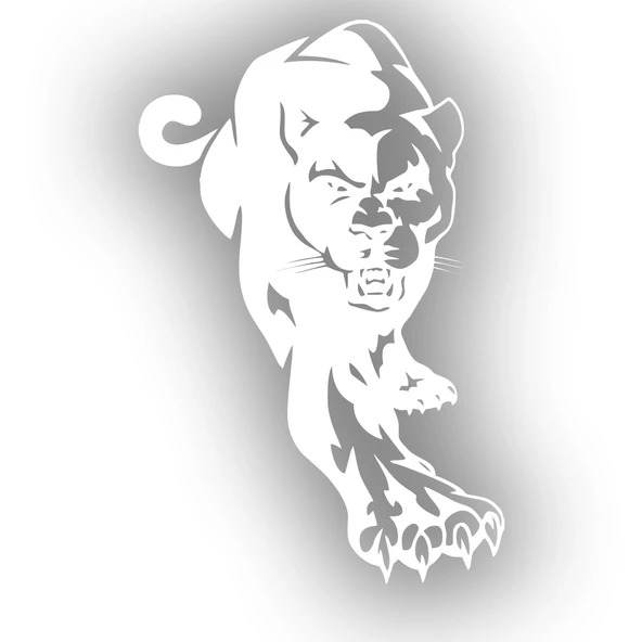Panter Araba Sticker 17x17 Cm Beyaz ürün görseli 1