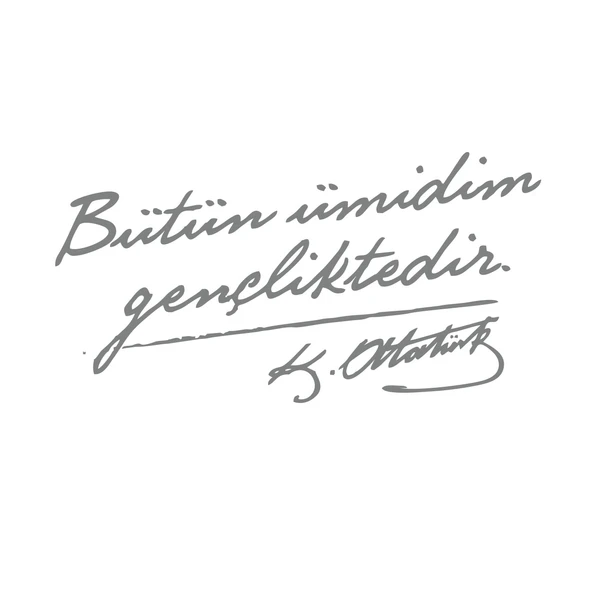 Bütün Ümidim Gençliktedir Araba Sticker 17x17 Cm Gri ürün görseli 1
