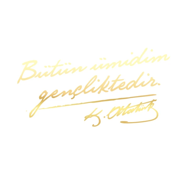 Bütün Ümidim Gençliktedir Araba Sticker 17x17 Cm Gold ürün görseli 1