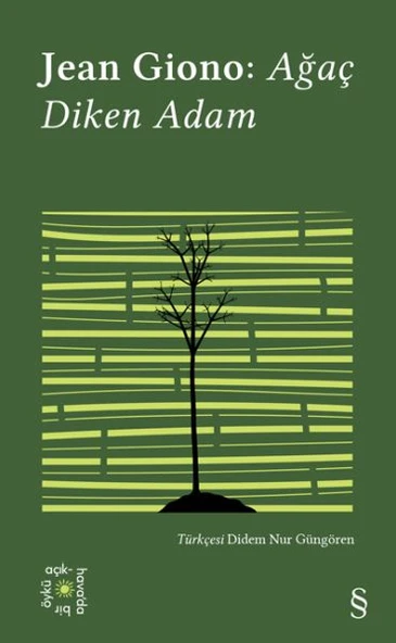 Ağaç Diken Adam - Everest Açıkhava 17 - Resim 3