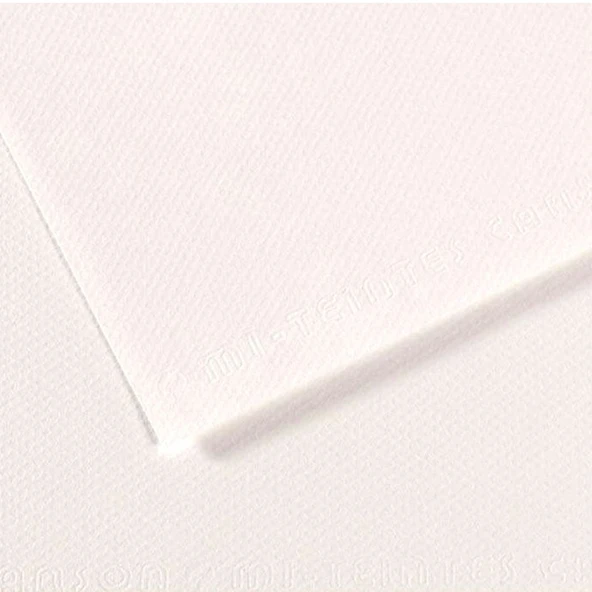 Canson Fon Kartonu (Dokulu) Mı-Teıntes Sh Canmt 50x65 160 GR Whıt 180 ürün görseli 1