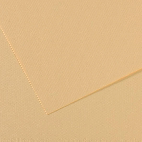 Canson Fon Kartonu (Dokulu) Mı-Teıntes Sh Canmt 50x65 160 Gr Ylw 407 ürün görseli 1