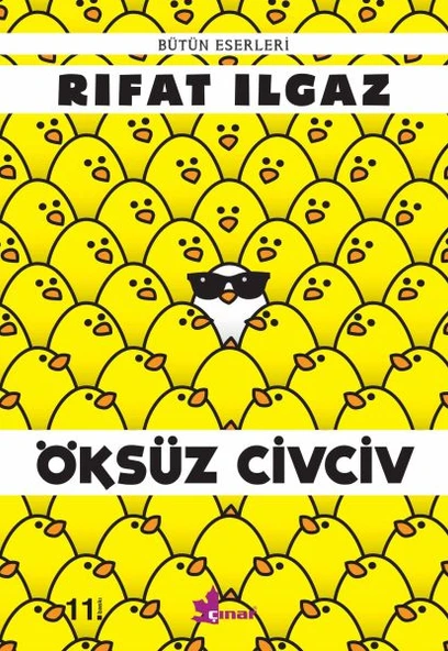 Öksüz Civciv - Resim 2