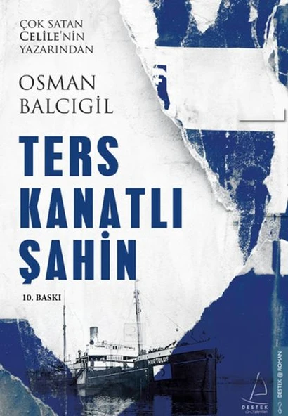 Ters Kanatlı Şahin - Resim 2