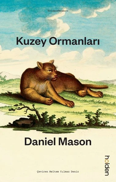 Kuzey Ormanları - Resim 3