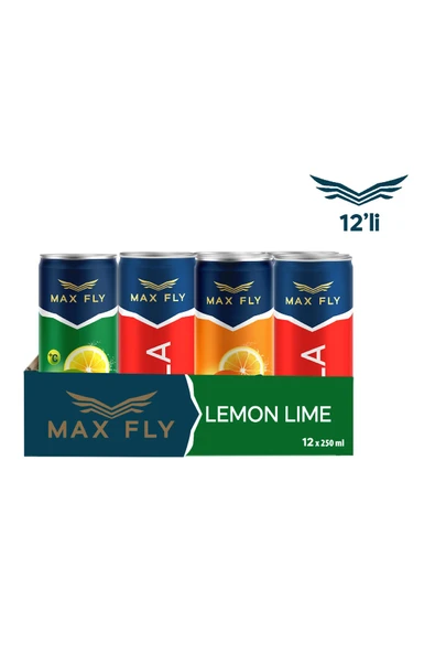 Max Fly Gazlı İçecek Karma Paket 250 ml 12 Adet ürün görseli 1