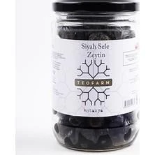 Teofarm Antakya Kurutulmuş Zahter 40 gr 1 ADET ürün görseli 1